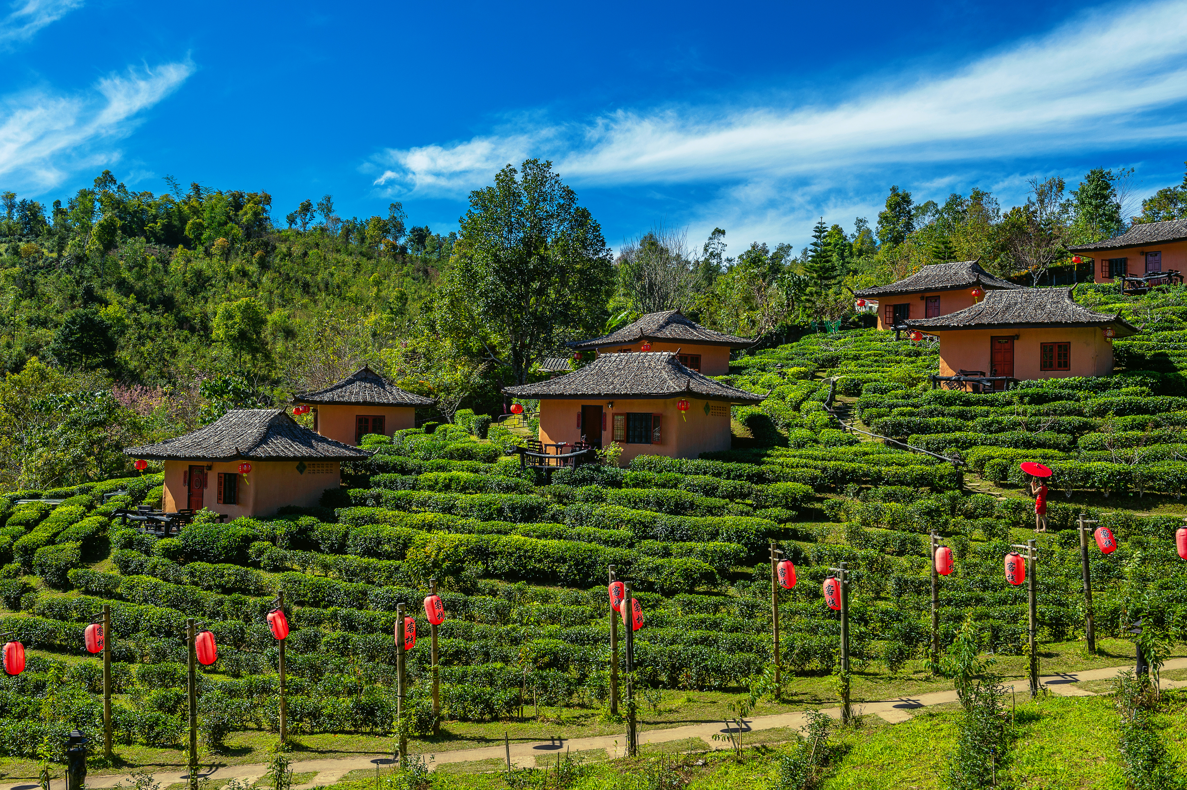 Kodaikanal Princess of Hill Stations Tour package by Holiday Seasonz