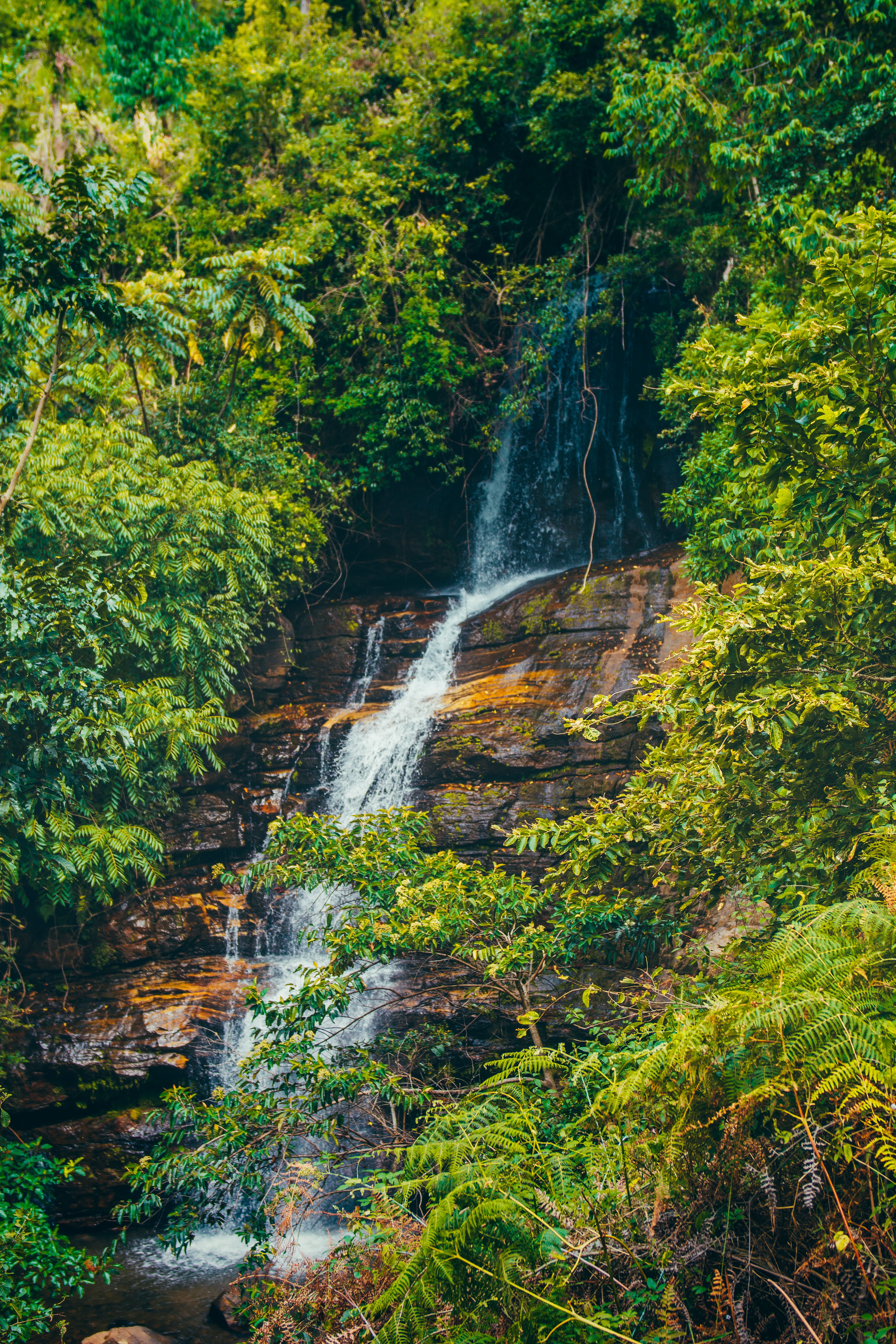 Scenic waterfall amidst lush green forest in Coorg